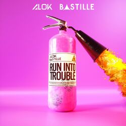 Cover of Run Into Trouble