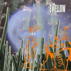 Cover of Katus