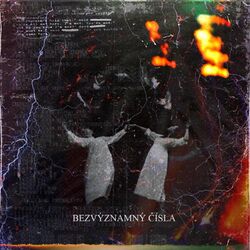 Cover of BEZVÝZNAMNÝ ČÍSLA