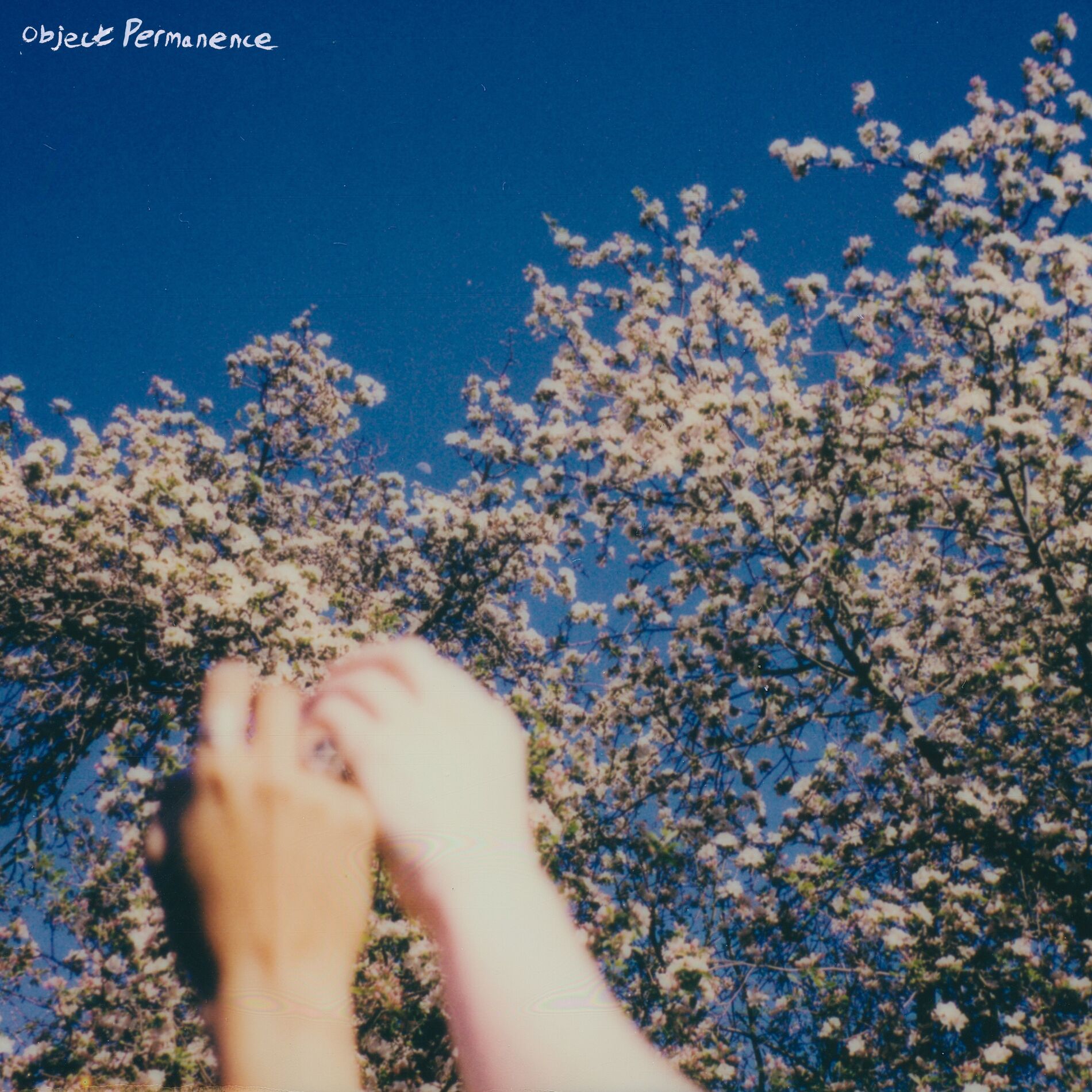 Album cover of Object Permanence
