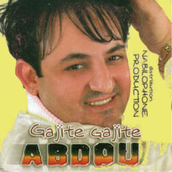 Cover of Gajite Gajite