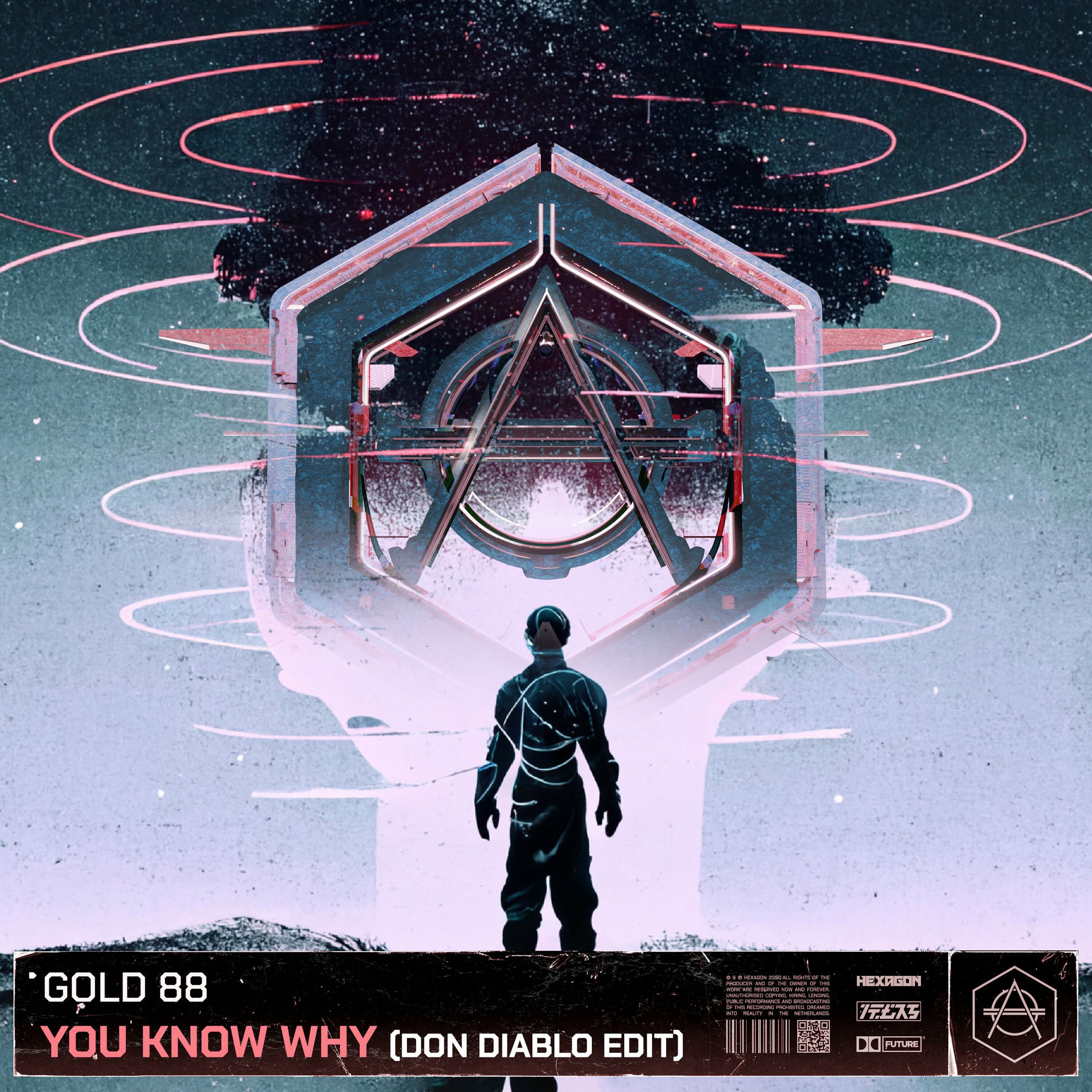 Album cover of You Know Why (Don Diablo Edit)