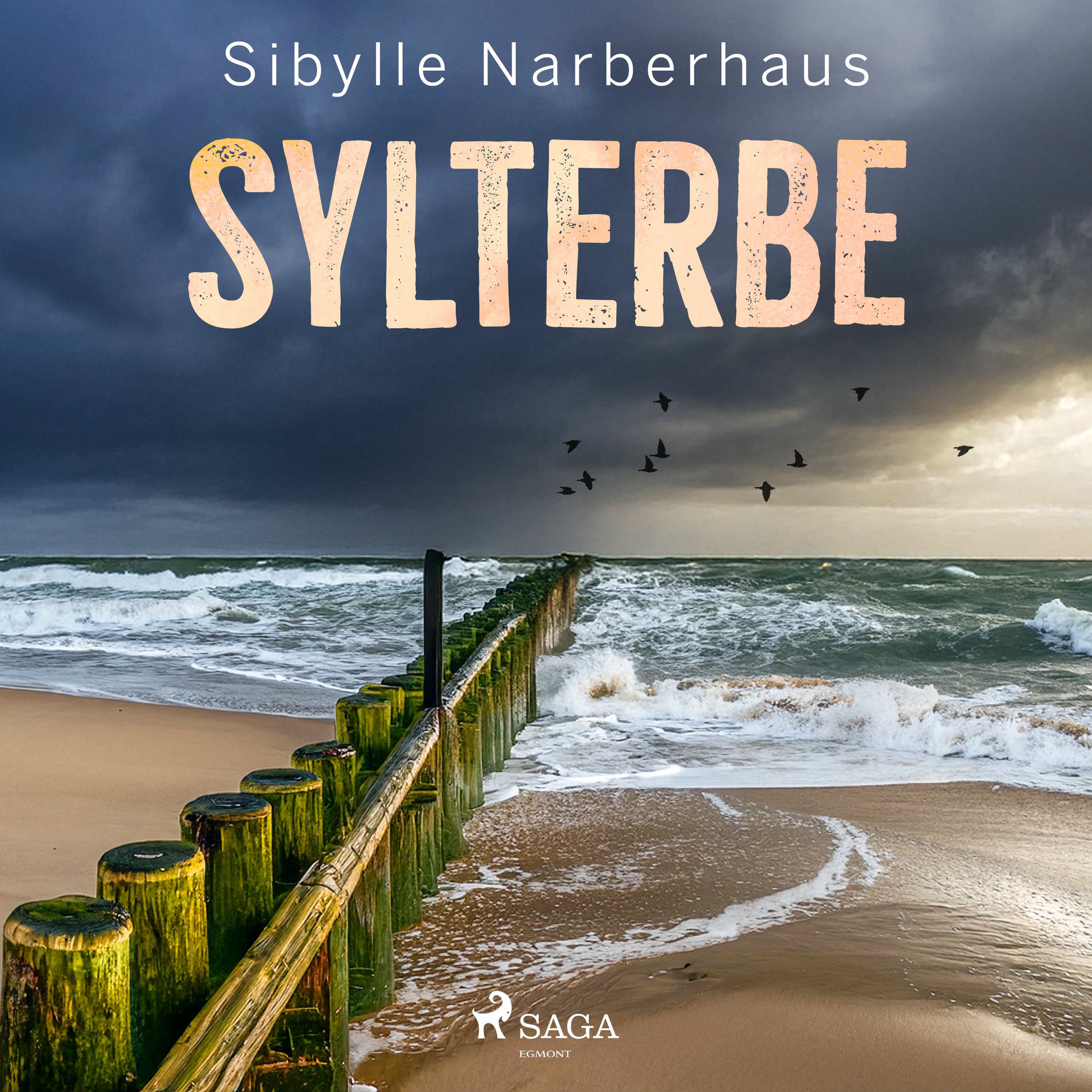 Album cover of Sylterbe