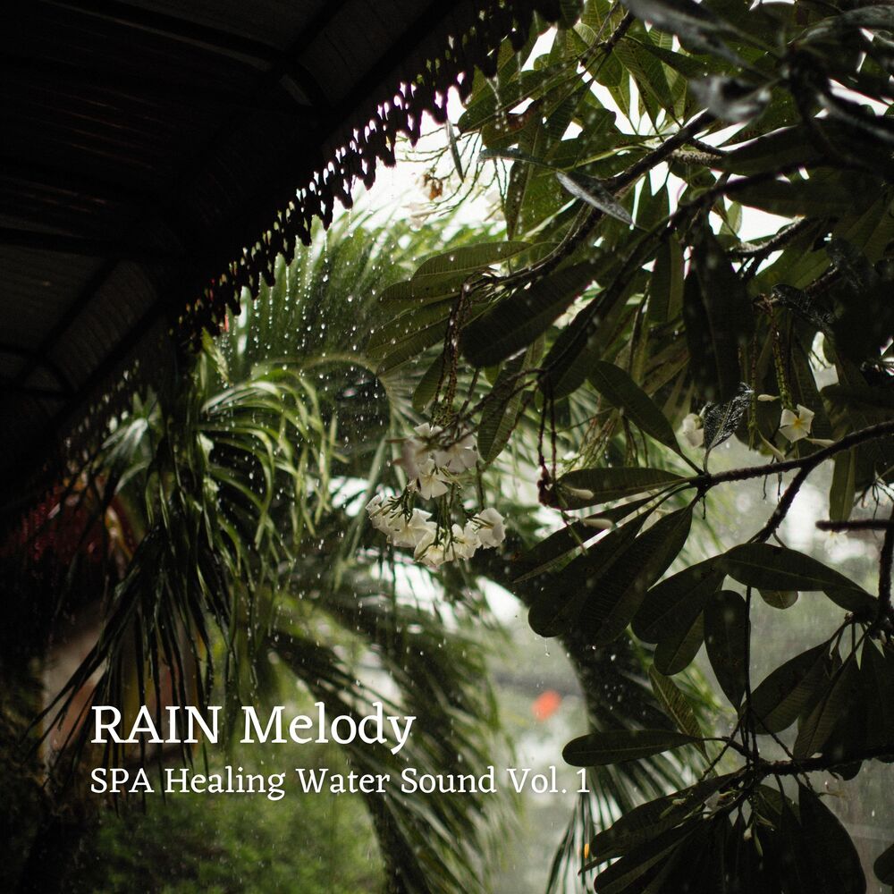 Picture of RAIN Melody: SPA Healing Water Sound Vol. 1