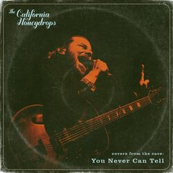 Cover of You Never Can Tell