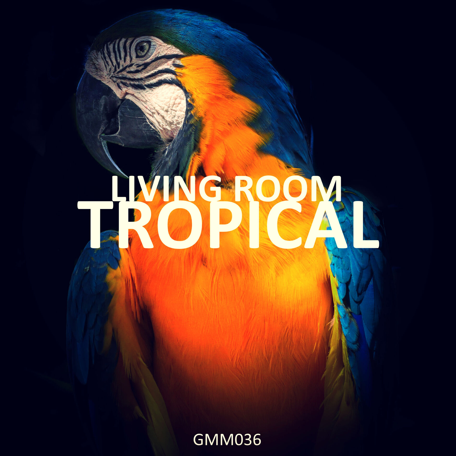 Album cover of Tropical