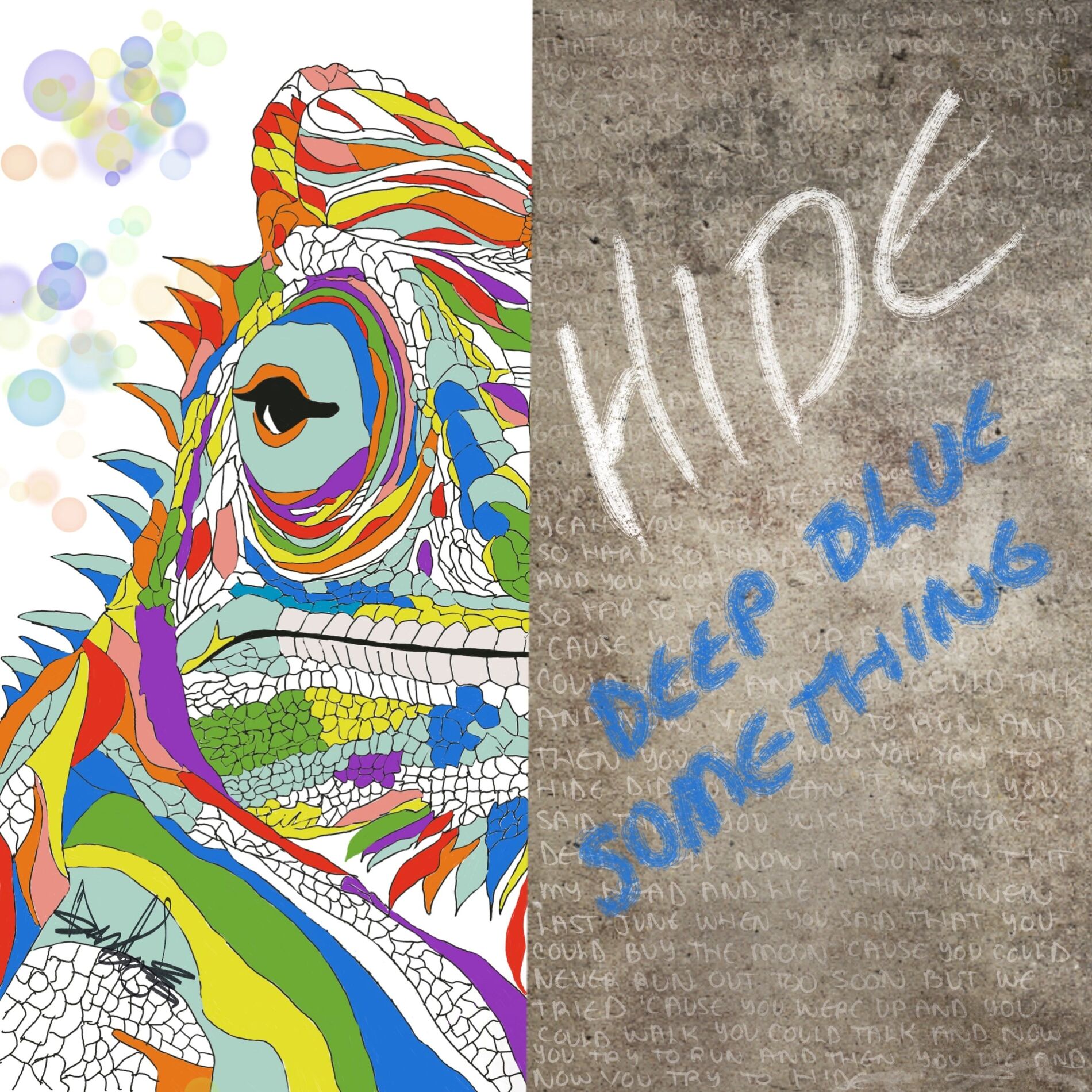 Album cover of Hide