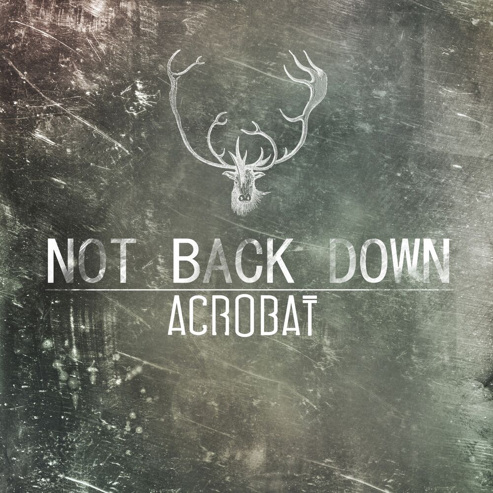 Picture of Not Back Down