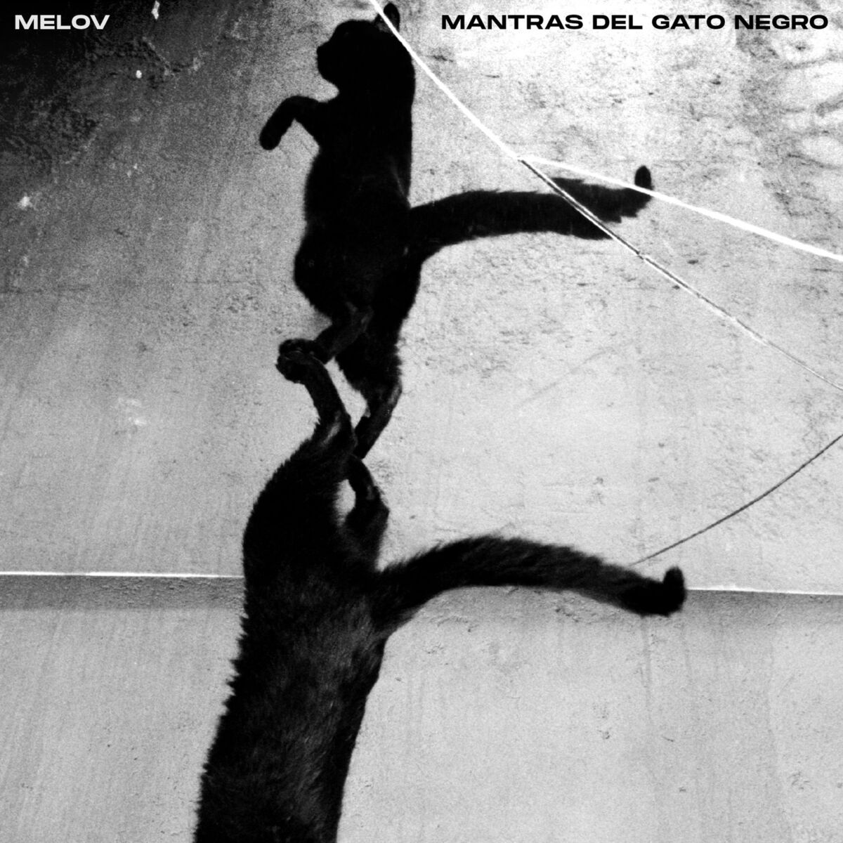 Album cover of Mantras del Gato Negro