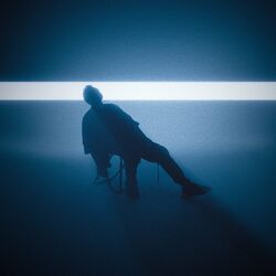 Cover of In The Dark