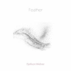 Cover of Feather