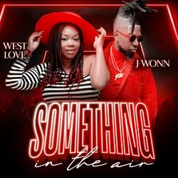 Cover of Something in the air