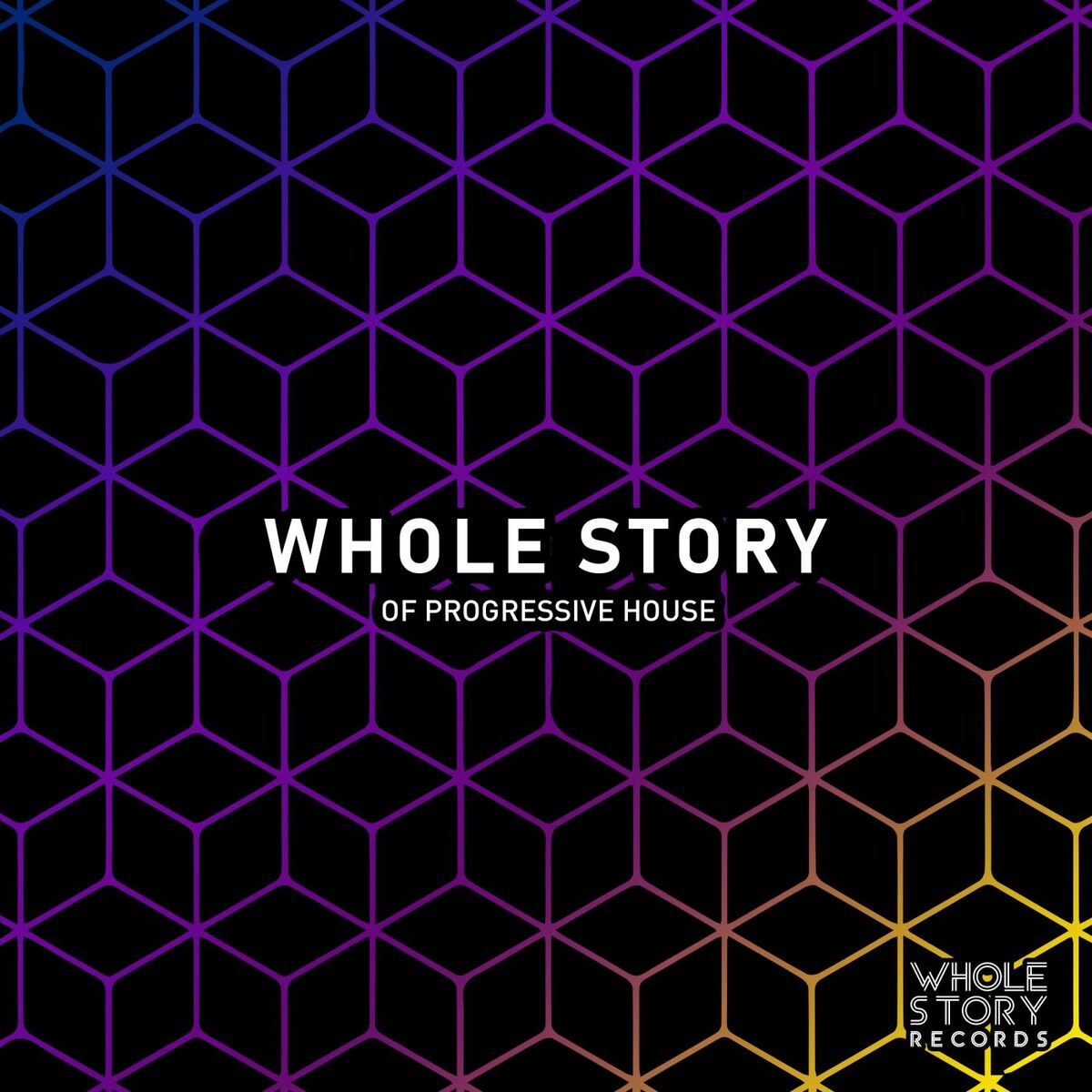 Album cover of Whole Story Of Progresive House
