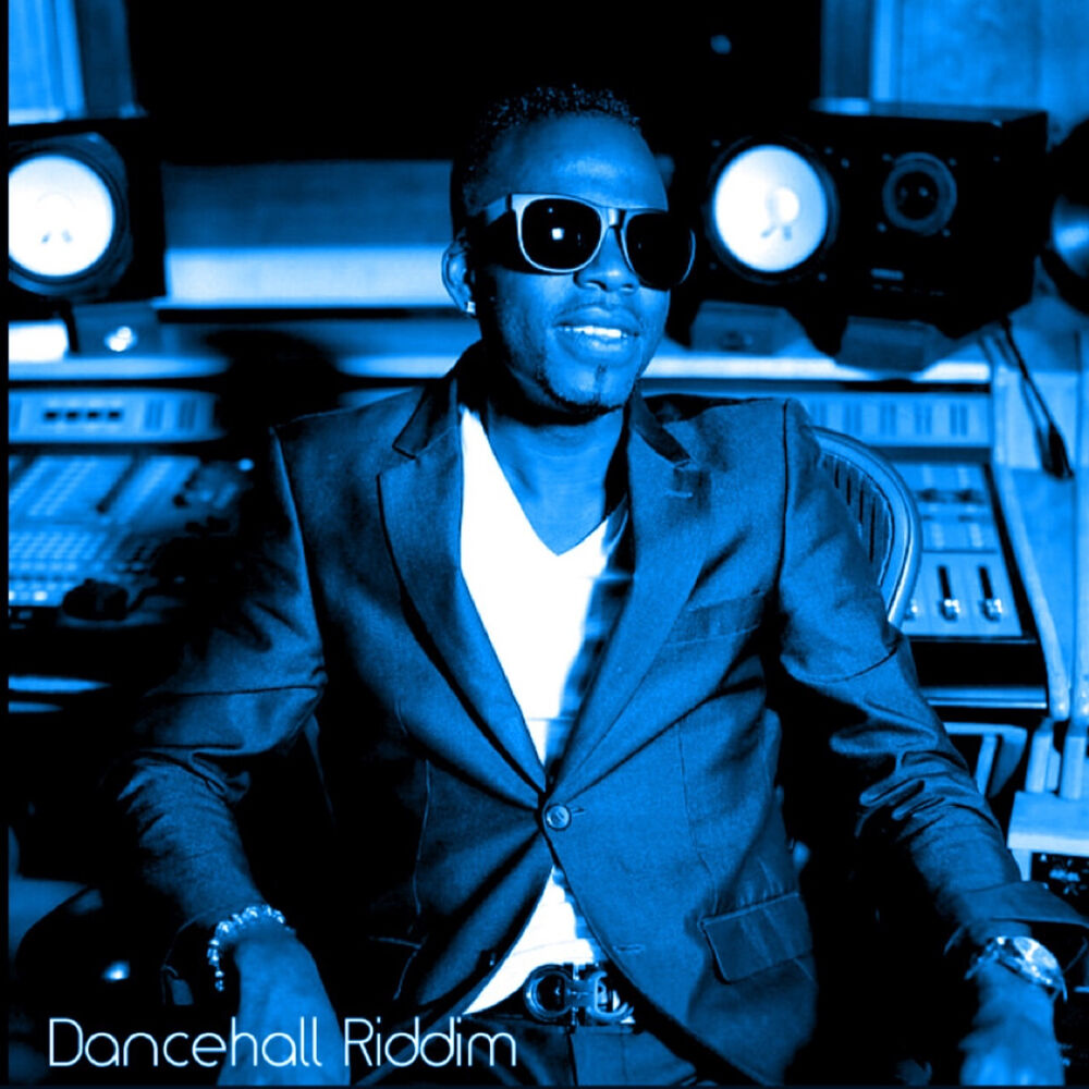 Picture of Dancehall Riddim, Vol. 2