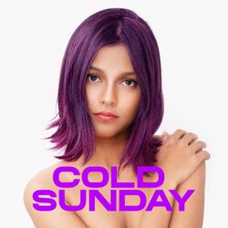 Cover of Cold Sunday