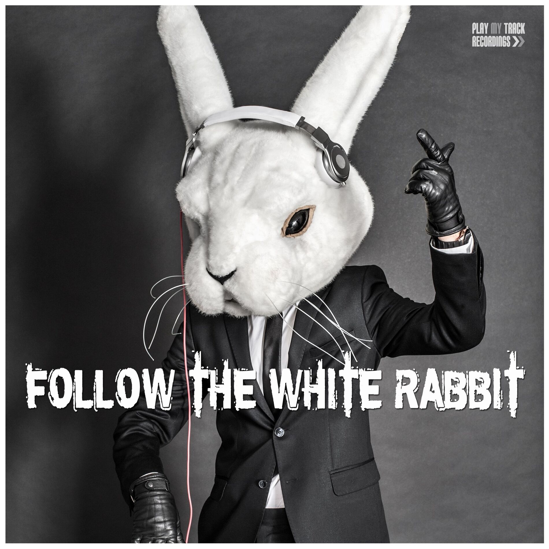 Album cover of Follow the White Rabbit
