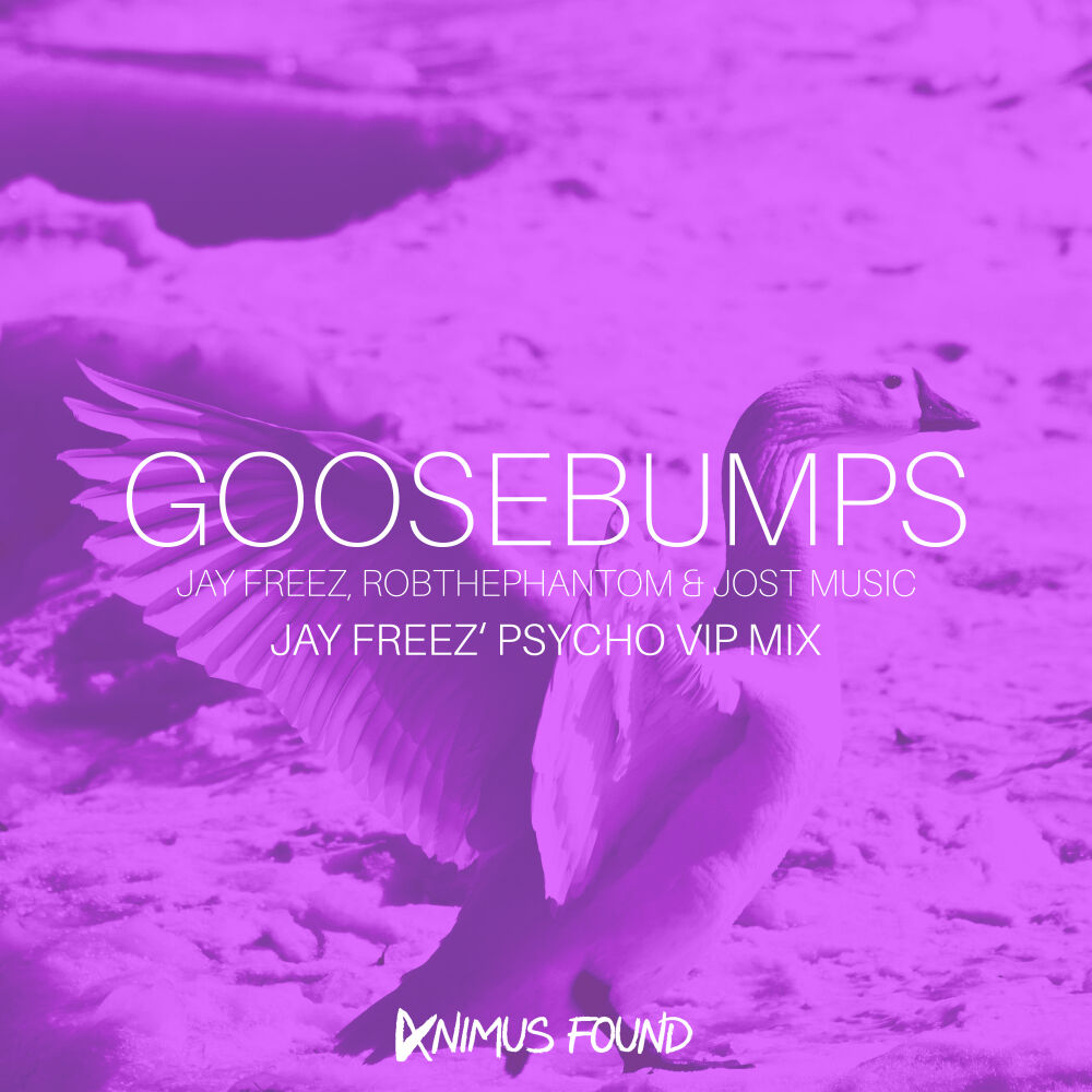 Picture of Goosebumps (Jay Freez' Psycho VIP Mix)