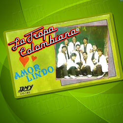 Cover of Amor Lindo