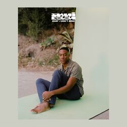 Cover of Baby I Don't Mind