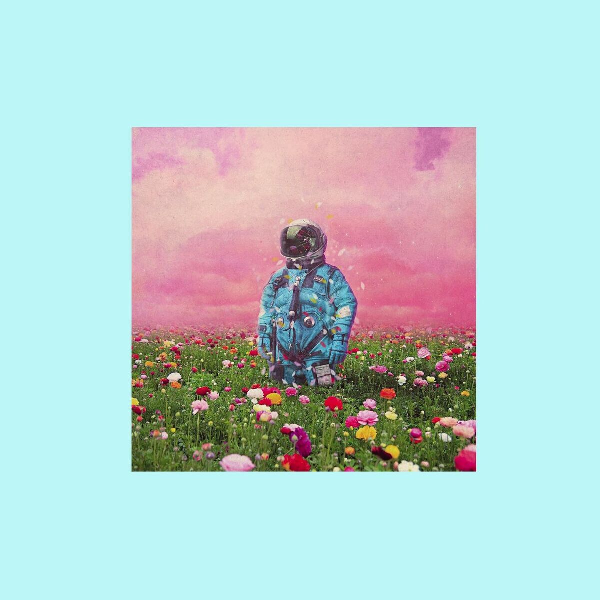Album cover of Barracuda II