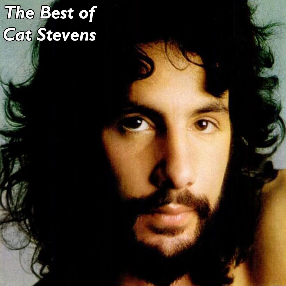 Album cover of The Best of Cat Stevens