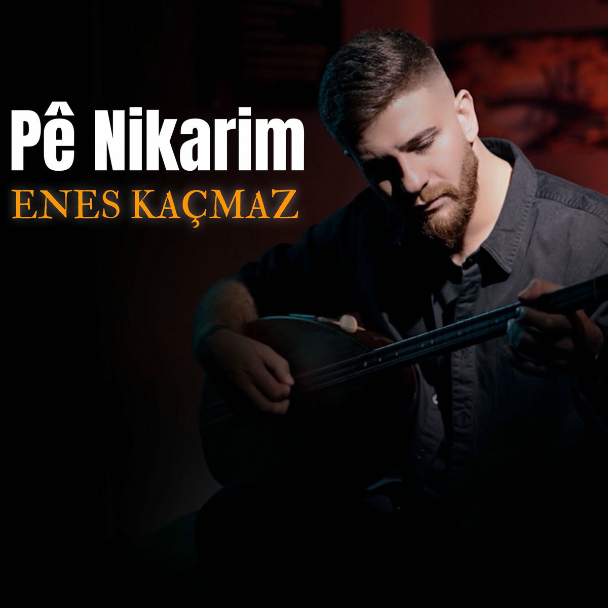Album cover of Pê Nikarim