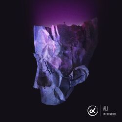 Cover of INTROVERSE