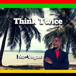 Cover of Think Twice