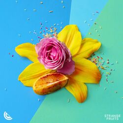 Cover of Everyday (Drinking Wine)