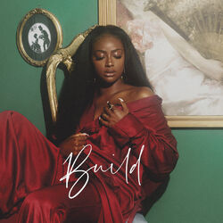Cover of Build