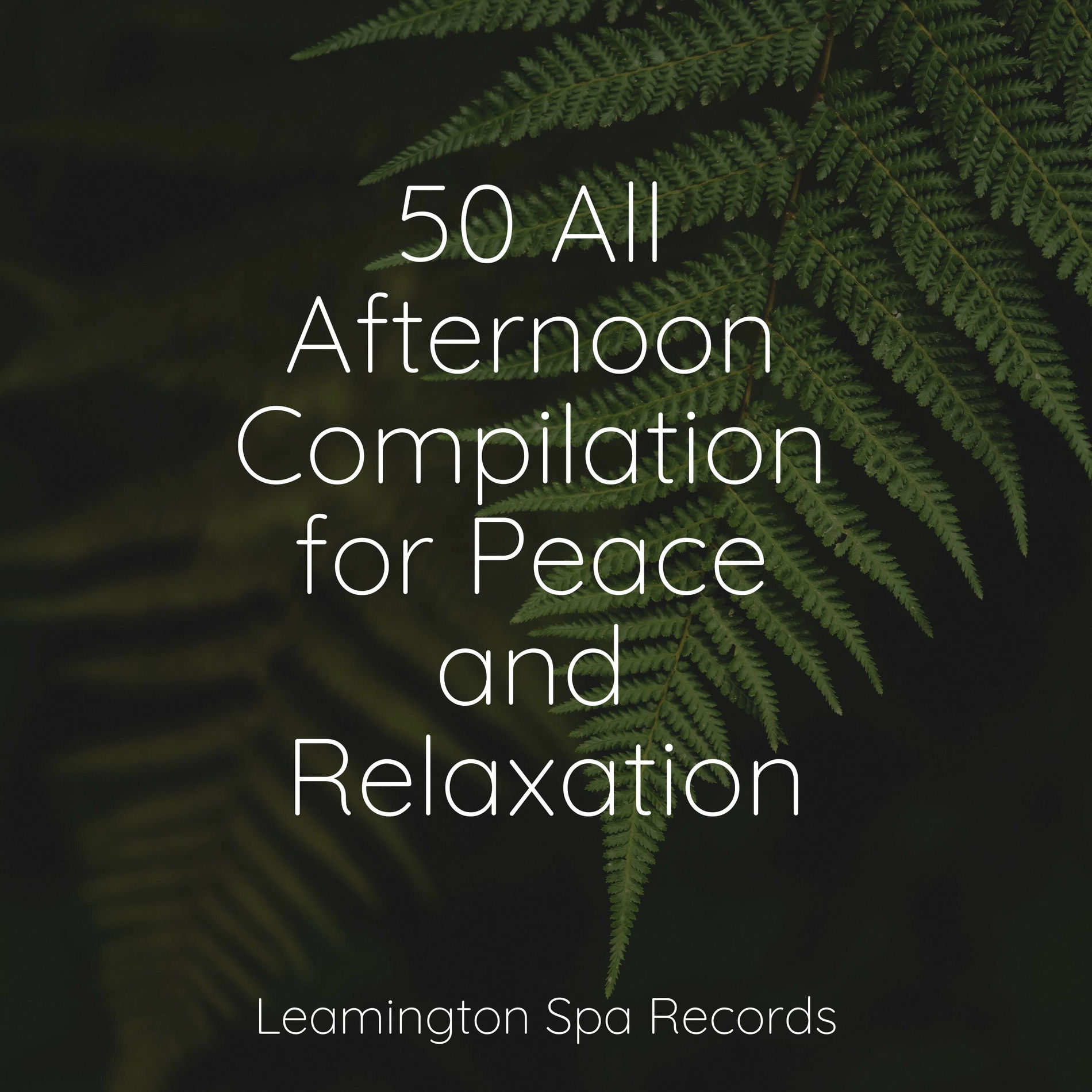 Album cover of 50 All Afternoon Compilation for Peace and Relaxation
