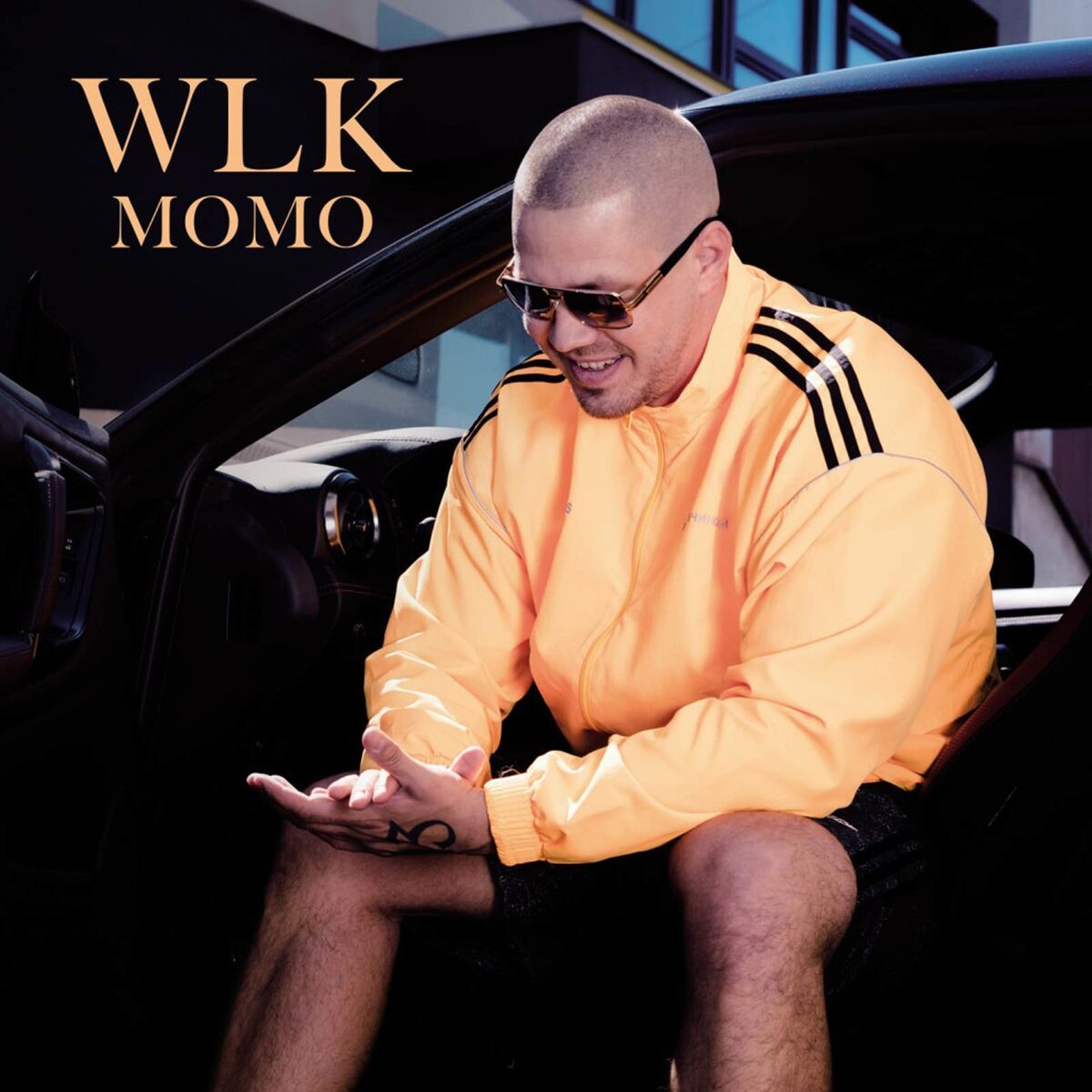 Album cover of WLK