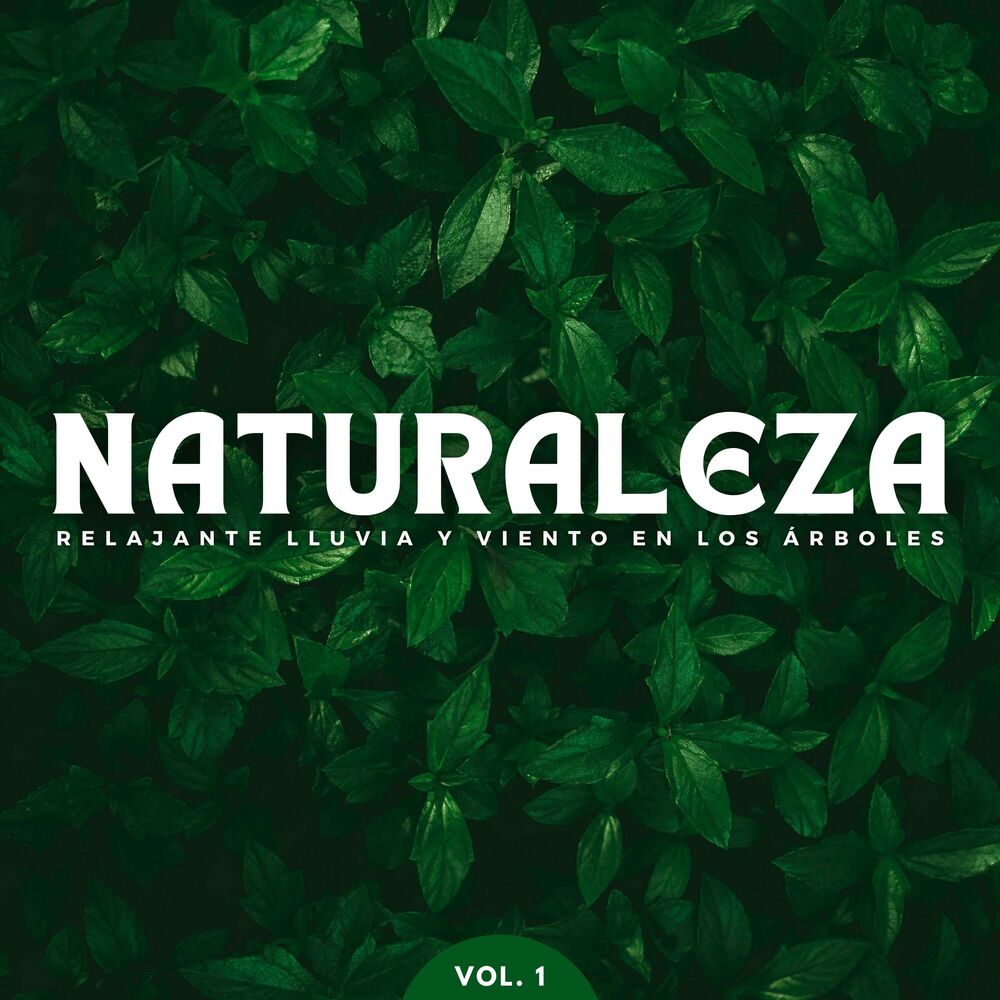 Picture of Naturaleza: Relajante Lluvia Y Viento En Los Árboles Vol. 1