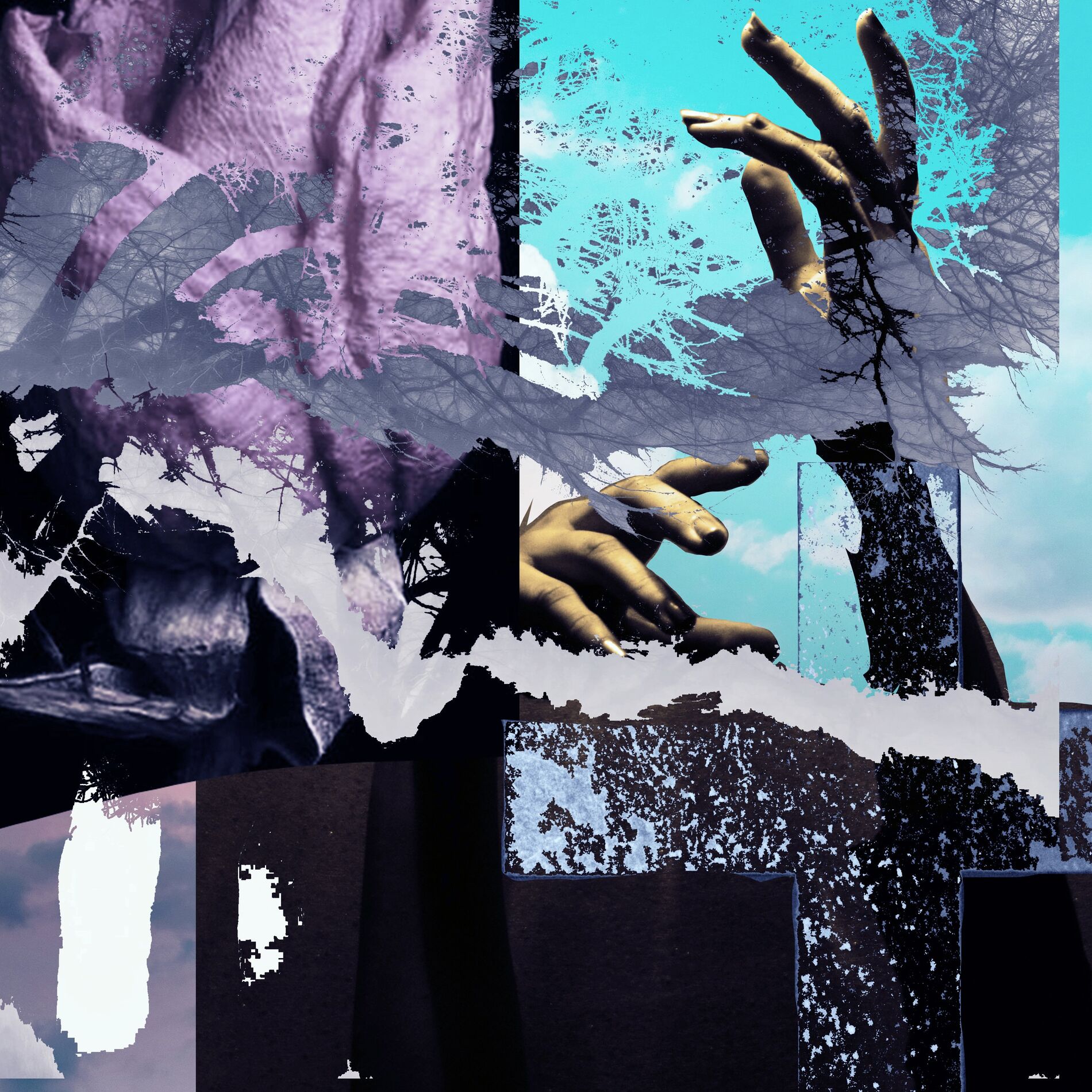 Album cover of to the sky