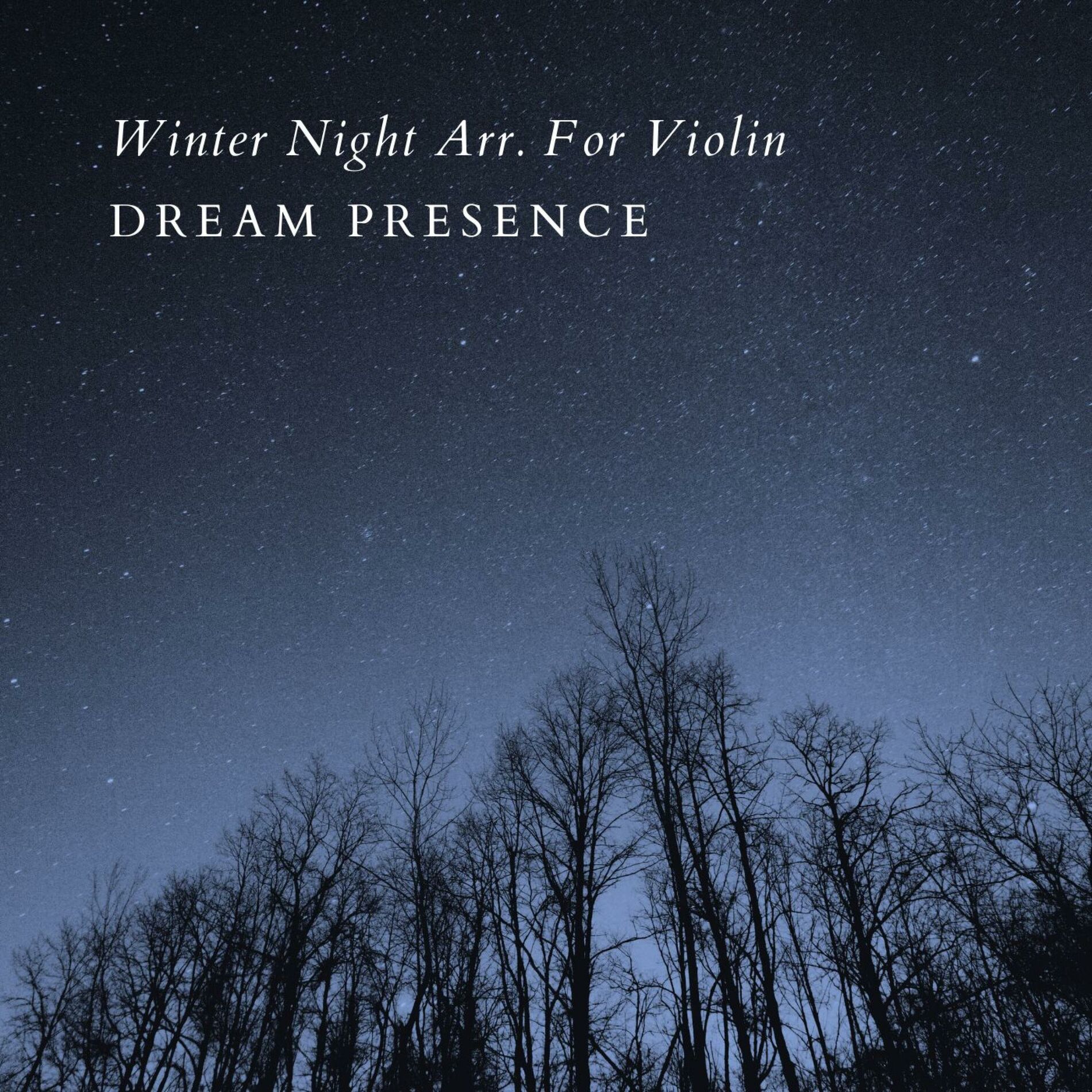 Album cover of Winter Night Arr. For Violin