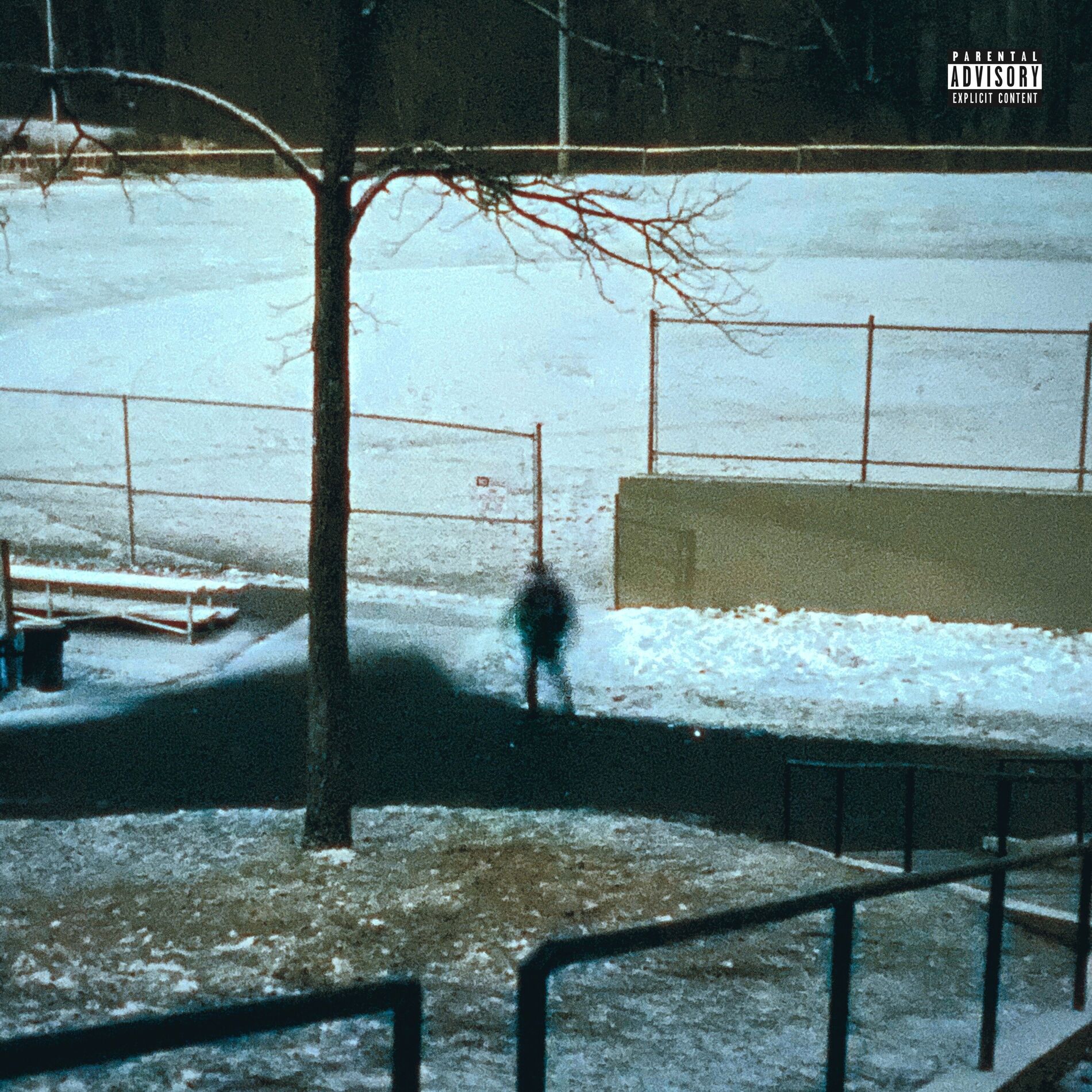 Album cover of have you lost your mind?