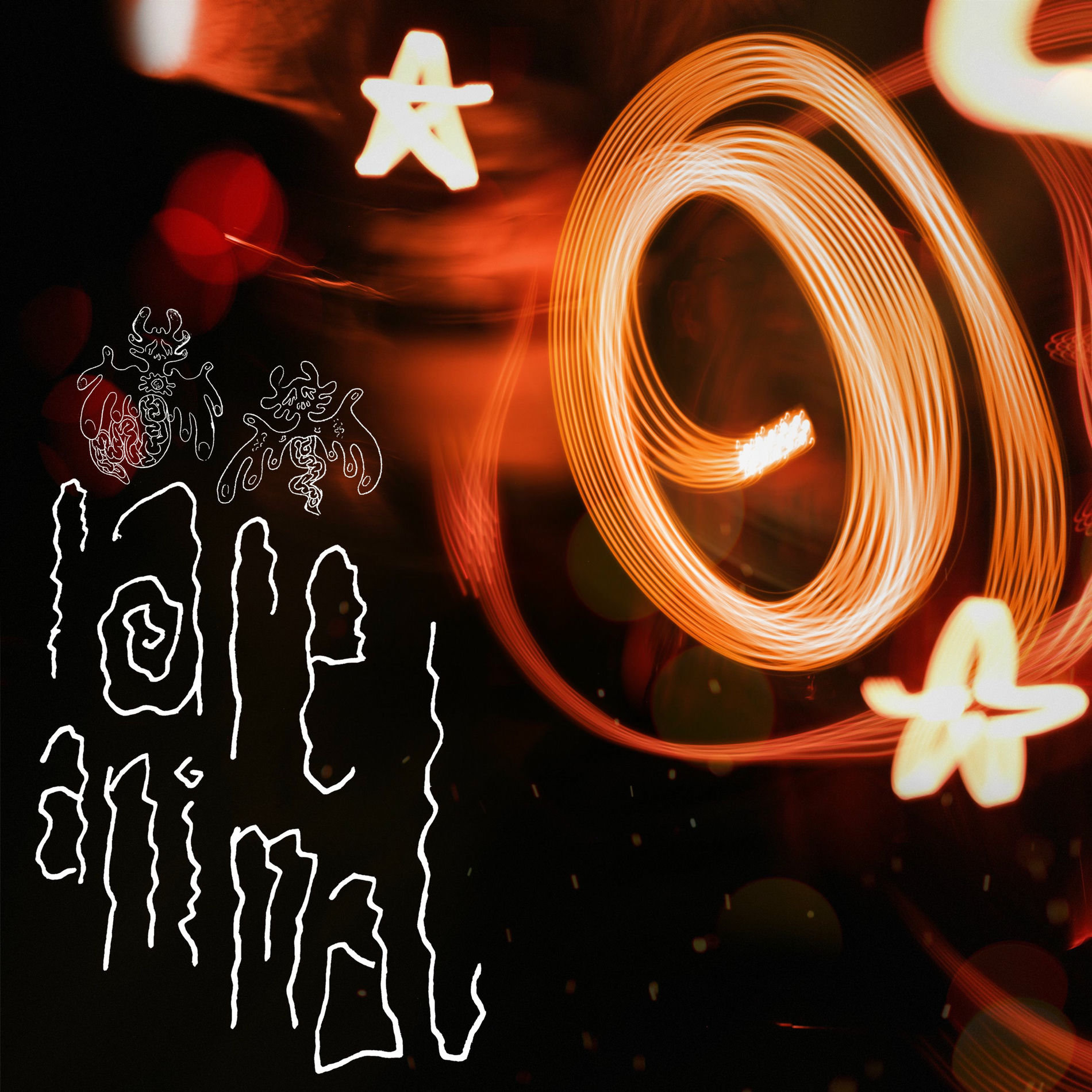 Album cover of rare animal