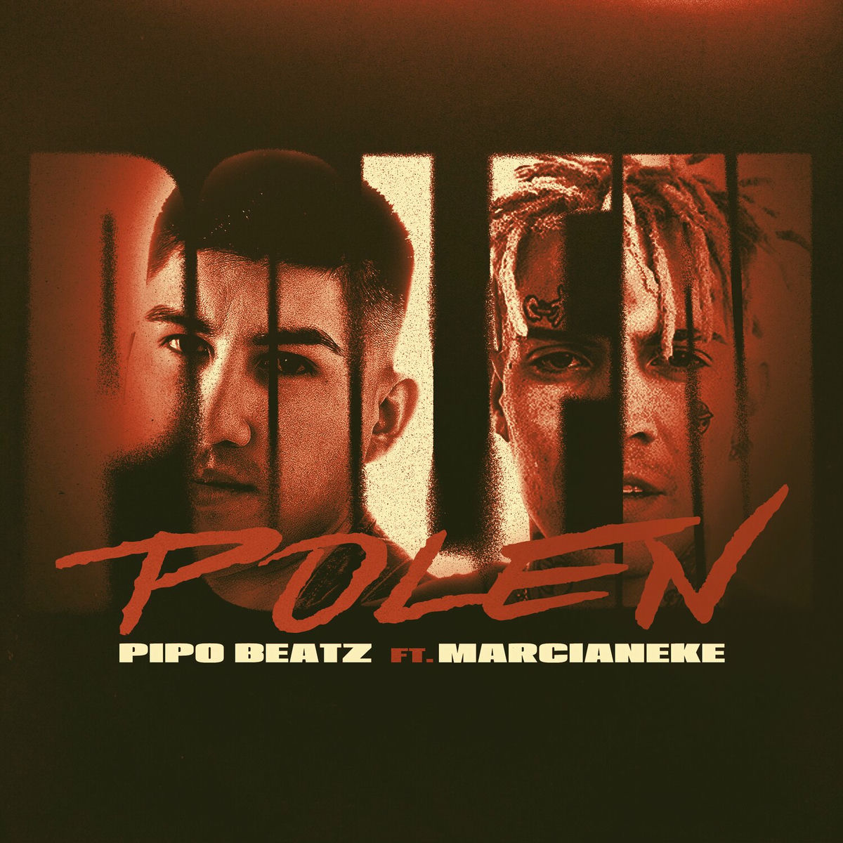 Album cover of Polen