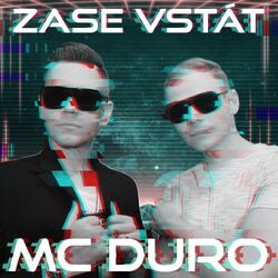 Cover of Zase vstát