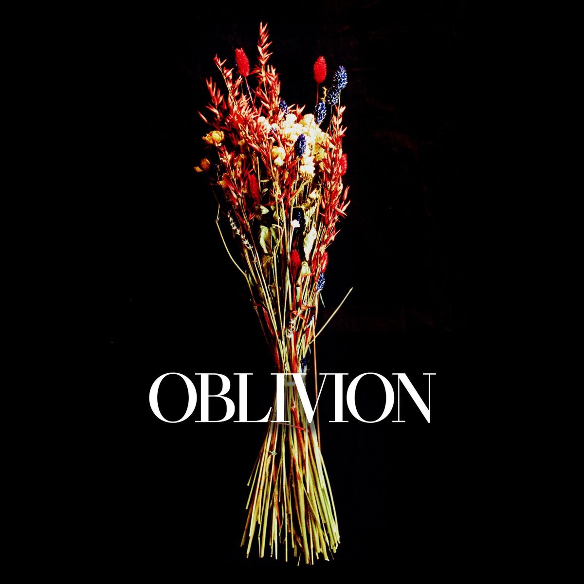 Album cover of Oblivion