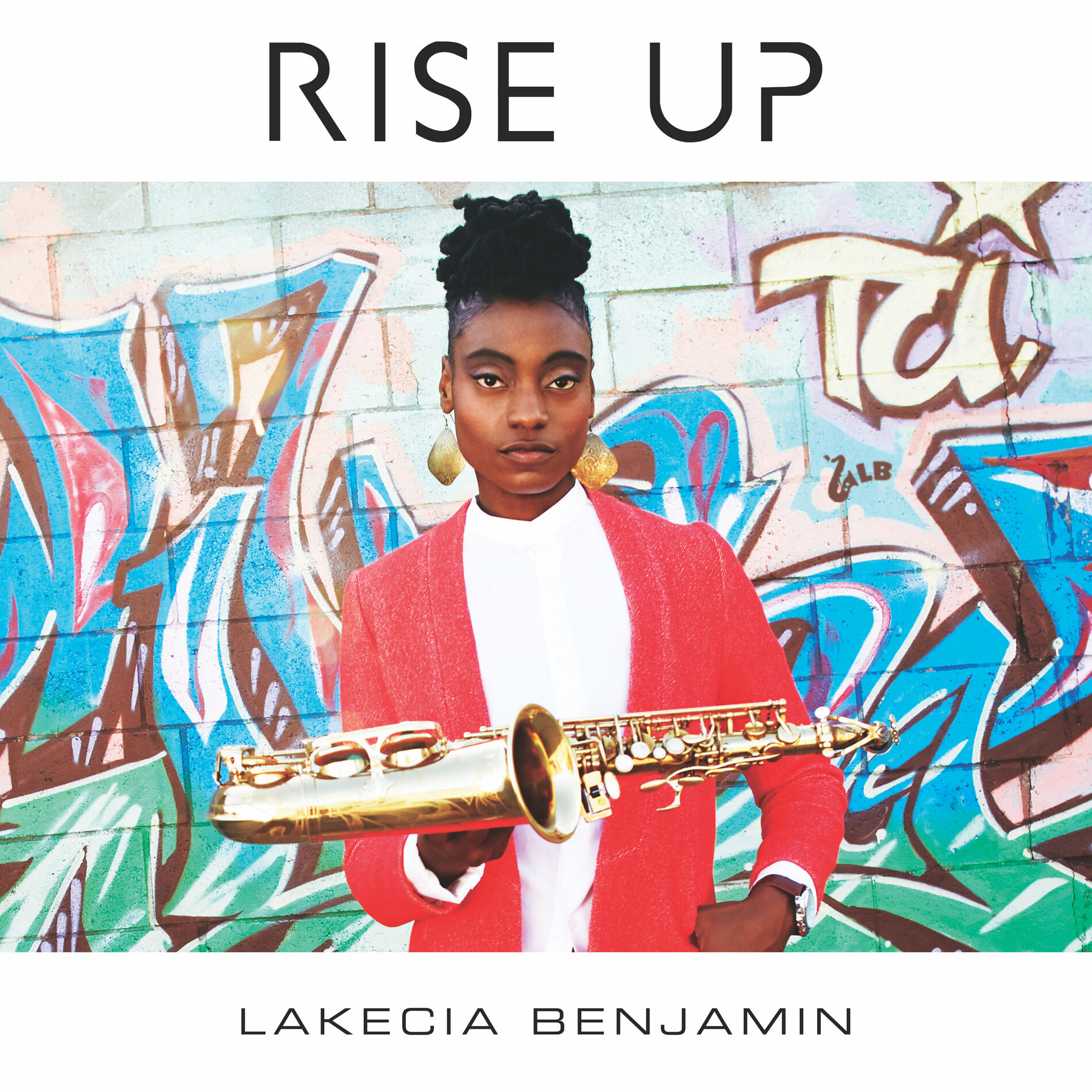 Album cover of Rise Up