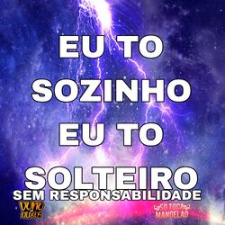 Cover of Eu Tô Sozinho Eu Tô Solteiro Sem Responsabilidade (Slowed)