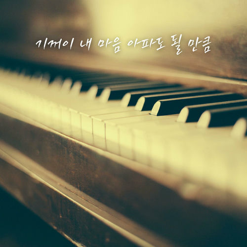 Shin Hyun Woo – Willing to Hurt for You – Single