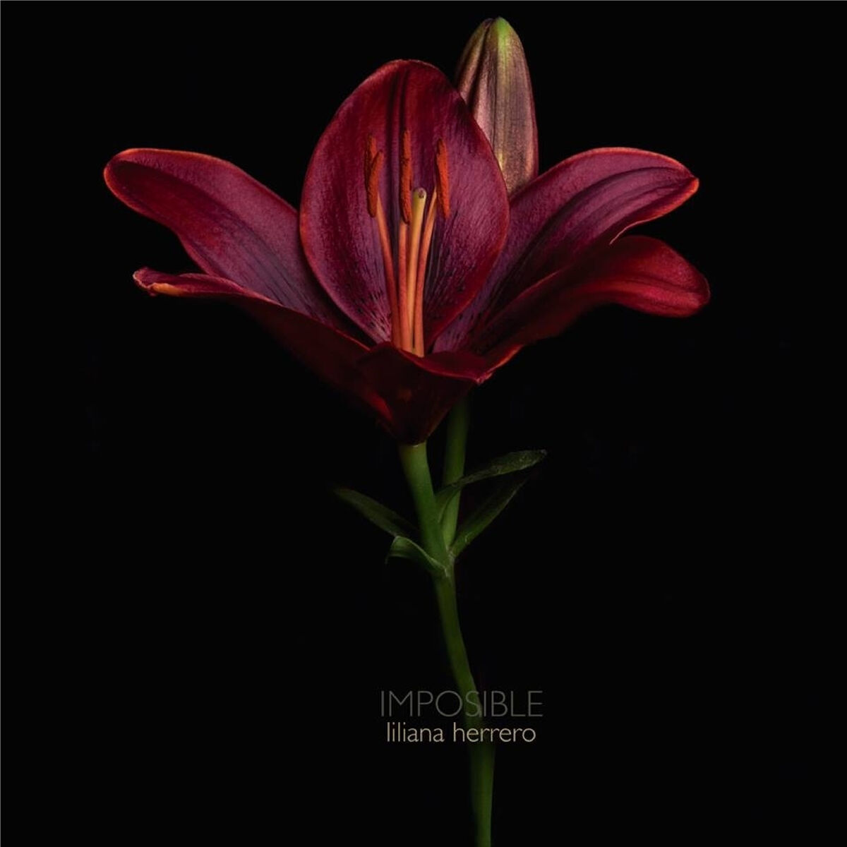 Album cover of Imposible