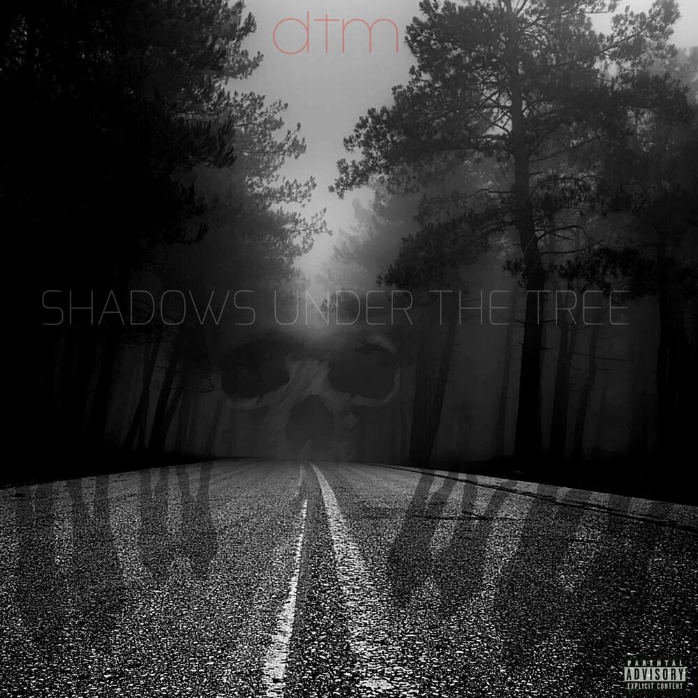 Picture of Shadows Under the Tree