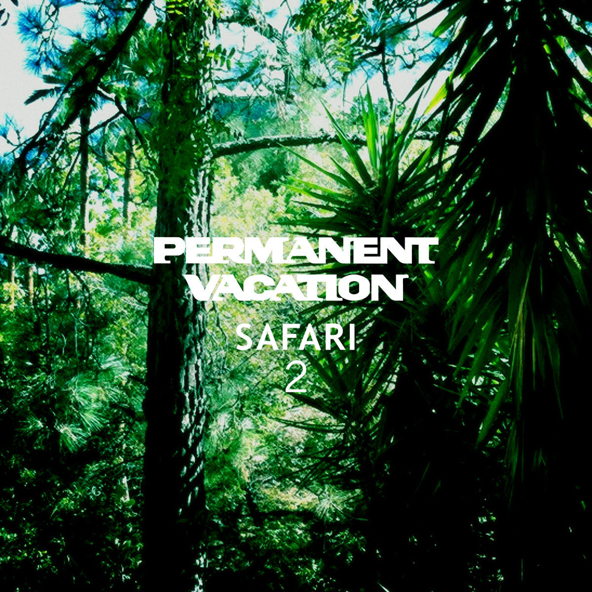 Album cover of Permanent Vacation Safari 2