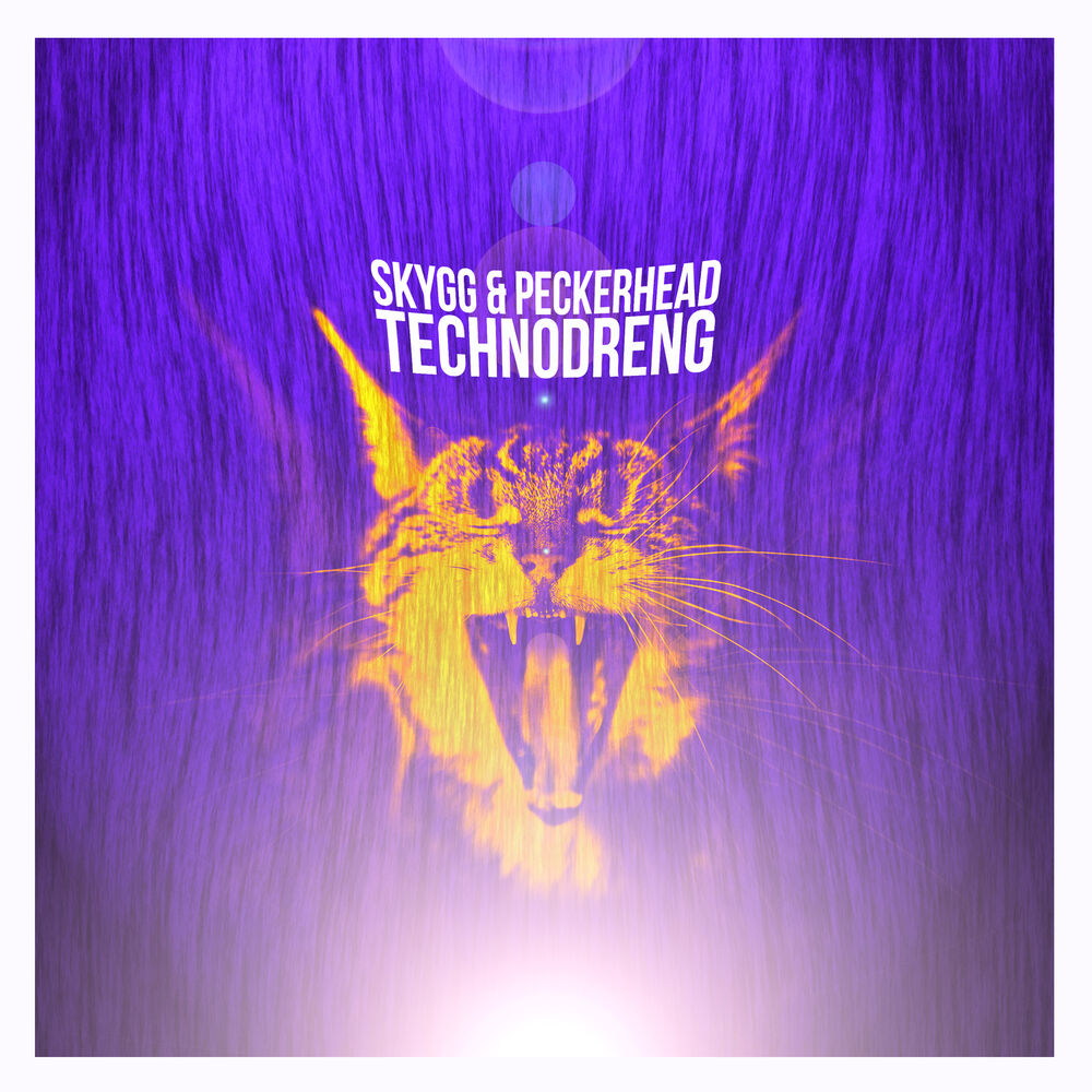 Picture of Technodreng