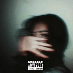 Cover of Baby Steps