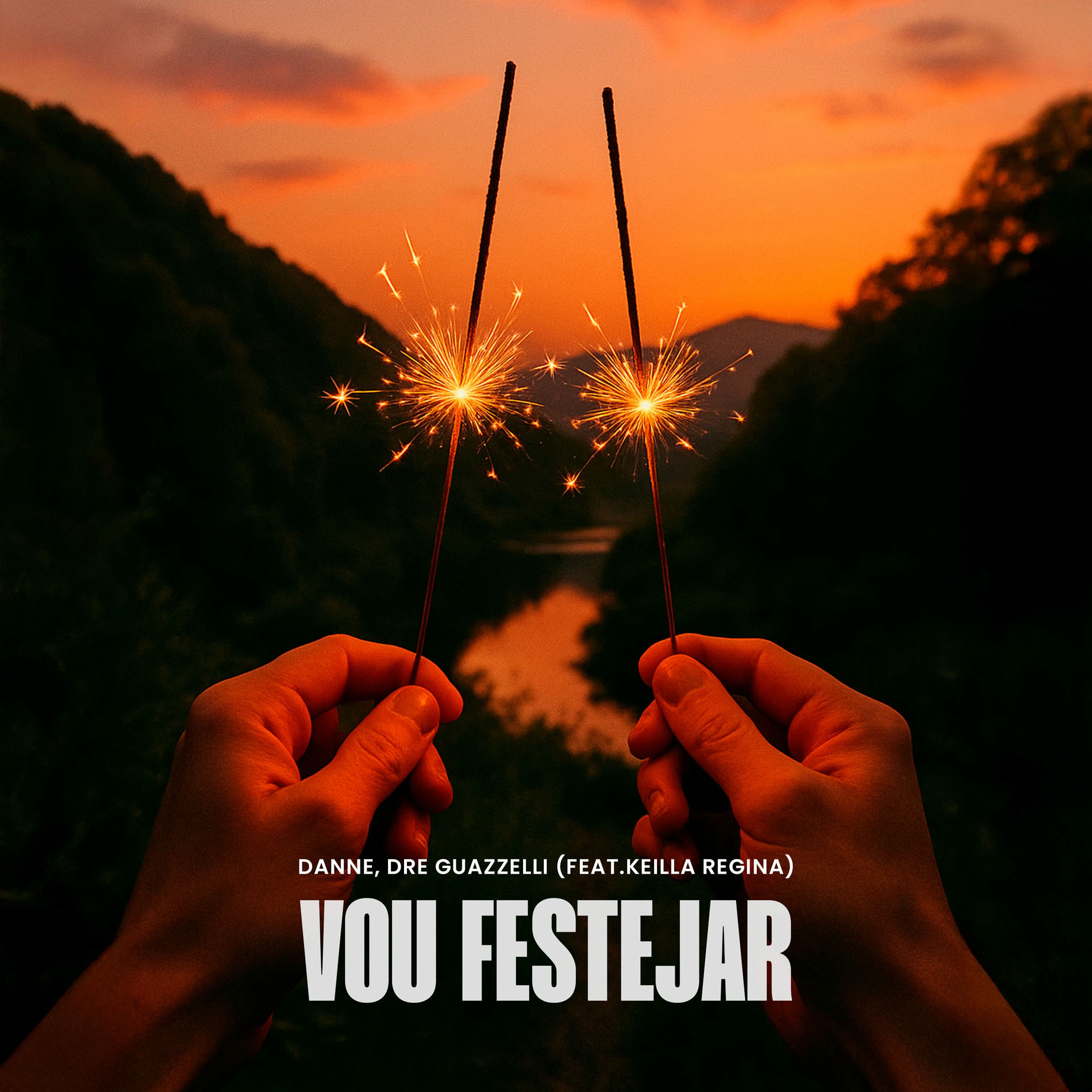 Album cover of Vou Festejar