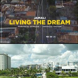 Cover of Living the dream